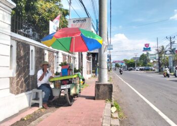 Wayan Suara: Hidup Harus Diakali dengan Tuak Manis 30 Liter dan 10 Kucit