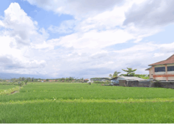 Strategi Adaptasi dan Mitigasi Dampak Perubahan Iklim: Upaya Menjaga Produksi Padi dan Stabilitas Ekonomi Nasional