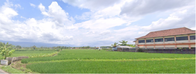 Strategi Adaptasi dan Mitigasi Dampak Perubahan Iklim: Upaya Menjaga Produksi Padi dan Stabilitas Ekonomi Nasional