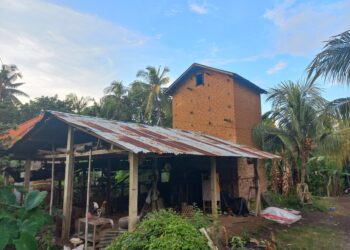 Hikayat Oven Tembakau: Saksi Bisu Kejayaan Petani Tembakau di Desa Panji