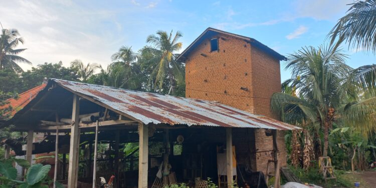 Hikayat Oven Tembakau: Saksi Bisu Kejayaan Petani Tembakau di Desa Panji