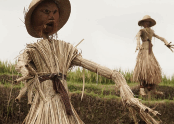 Bali, di Antara Pesona dan Luka