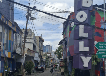 Melihat Wajah Dolly, Kini