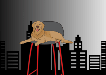 Kesetiaan Seekor Anjing, Dharma, dan Kesadaran Manusia