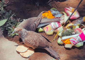 Mula Keto: Membaca Ulang Kearifan Lokal Bali dalam Cahaya Kesadaran