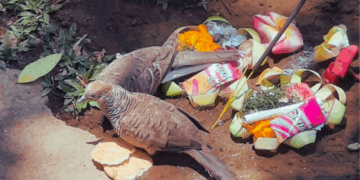 Mula Keto: Membaca Ulang Kearifan Lokal Bali dalam Cahaya Kesadaran