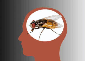 “Brain Rot” Atawa Otak Busuk