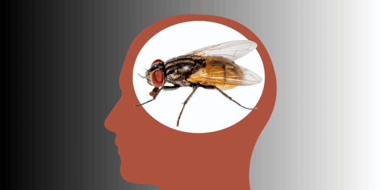 “Brain Rot” Atawa Otak Busuk