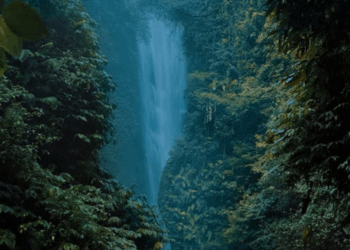 “Yellow Gate”, Air Terjun Candi Kuning Desa Silangjana: Keindahan Alam yang Membersihkan Lelahmu