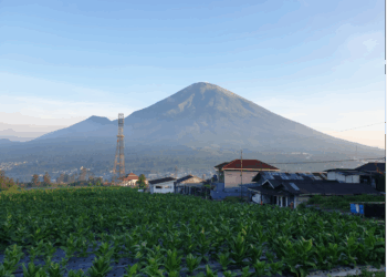 Mengintip Kesejukan “Kota Tembakau” di Lereng Sindoro-Sumbing
