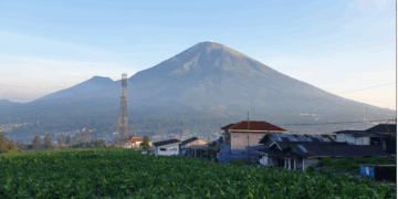 Mengintip Kesejukan “Kota Tembakau” di Lereng Sindoro-Sumbing