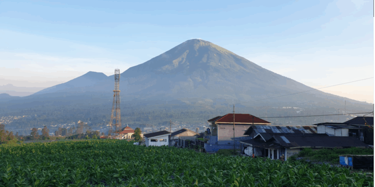 Mengintip Kesejukan “Kota Tembakau” di Lereng Sindoro-Sumbing