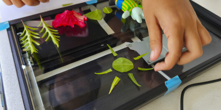 HERBALOVA, Mendokumentasikan Tanaman Obat Tradisional di Desa Guwang-Sukawati dengan Metoda Scanografi