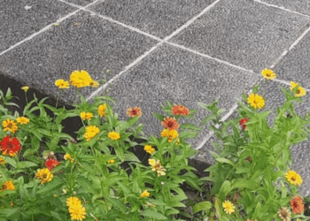 Tri Hita Karana, Kemalasan Tubuh, dan Kebebasan Pikiran