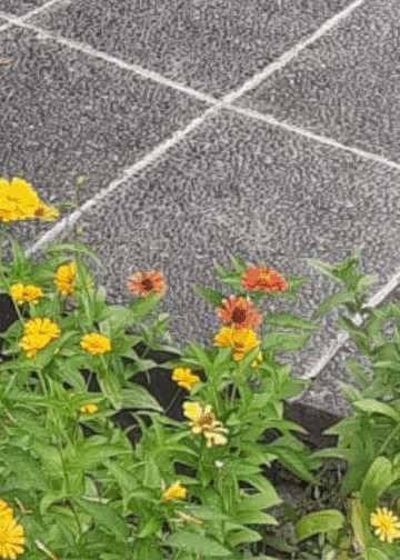 Tri Hita Karana, Kemalasan Tubuh, dan Kebebasan Pikiran