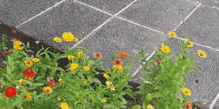 Tri Hita Karana, Kemalasan Tubuh, dan Kebebasan Pikiran