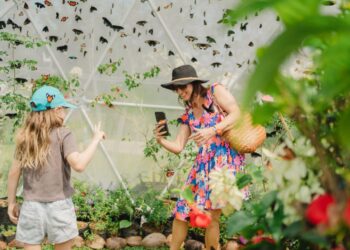 Nuanu Creative City Melepaskan 5.000 Kupu-kupu ke Alamnya: Dukung Siklus Hidup Kupu-kupu