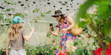 Nuanu Creative City Melepaskan 5.000 Kupu-kupu ke Alamnya: Dukung Siklus Hidup Kupu-kupu