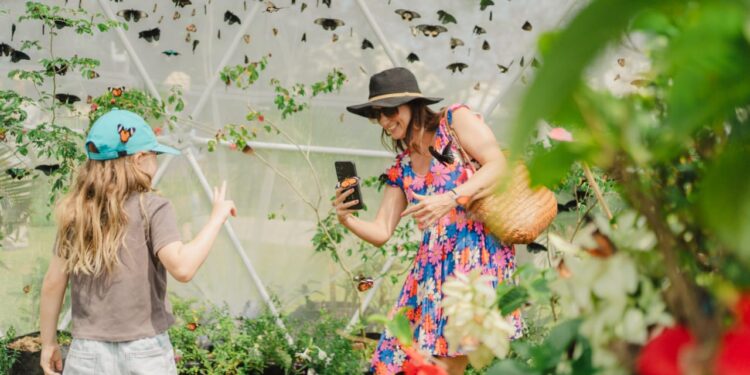 Nuanu Creative City Melepaskan 5.000 Kupu-kupu ke Alamnya: Dukung Siklus Hidup Kupu-kupu