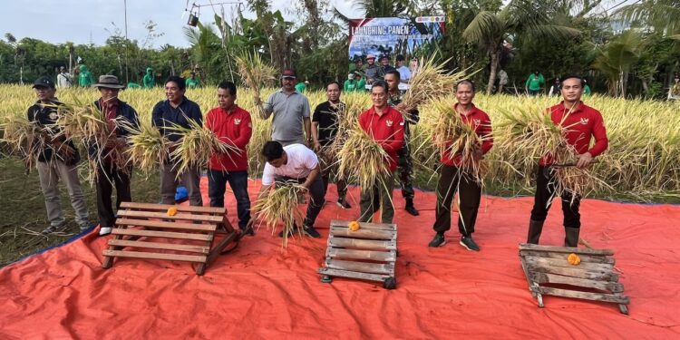 Panen Perdana Padi “Semeton Buleleng”, Komitmen Swasembada Pangan di Buleleng
