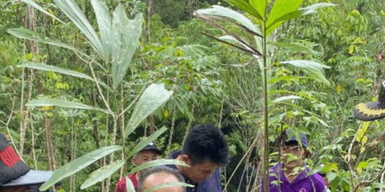 Sagu, Papeda, Sopi, dan Tentang Makanan Pokok Kita