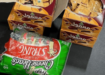 Kembali ke Amerika [2] — Tanah Impian (Berlapis Plastik dan Bertumpuk Kardus)