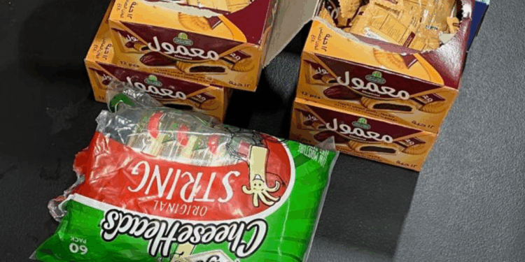 Kembali ke Amerika [2] — Tanah Impian (Berlapis Plastik dan Bertumpuk Kardus)