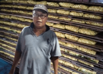 Hairudin dari Pesisir Buleleng, Lestarikan Cara Tradisional Membuat Tempe di Era Modern