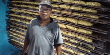 Hairudin dari Pesisir Buleleng, Lestarikan Cara Tradisional Membuat Tempe di Era Modern