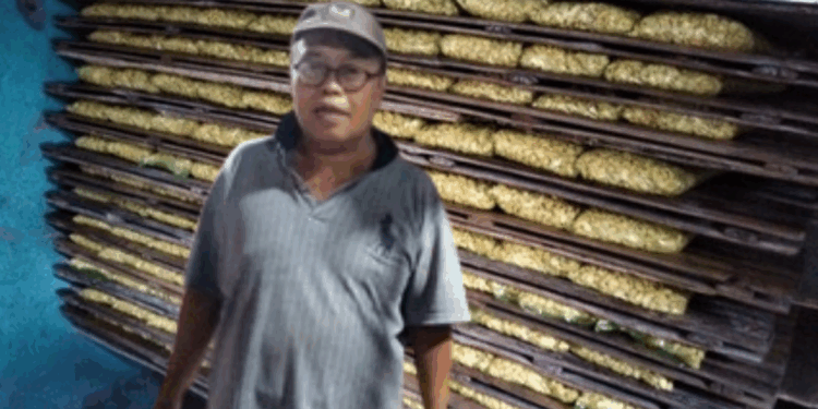 Hairudin dari Pesisir Buleleng, Lestarikan Cara Tradisional Membuat Tempe di Era Modern