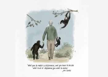 Tribute to Jane Goodall: Merayakan Warisan Kemanusiaan, Kehidupan, dan Kesadaran, Perspektif David Hawkins dan Guruji Anand Krishna