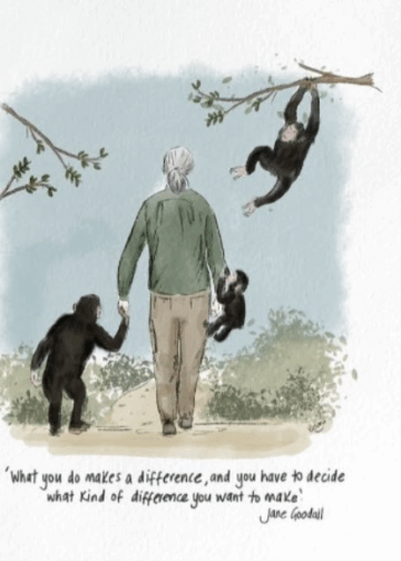 Tribute to Jane Goodall: Merayakan Warisan Kemanusiaan, Kehidupan, dan Kesadaran, Perspektif David Hawkins dan Guruji Anand Krishna