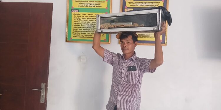 Lumpia Pak Dewa di Kampus UPMI Bali: Kisah Hidup Tentang Ketekunan pada Zaman yang Berubah-ubah