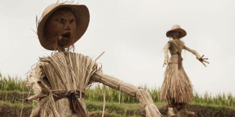 Penghilang Rasa Sakit (Sementara) Itu Bernama Tri Hita Karana