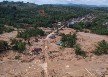 Ketika Isi Rimba Tak Ada Tempat Berpijak Lagi