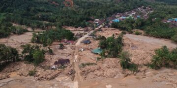 Ketika Isi Rimba Tak Ada Tempat Berpijak Lagi
