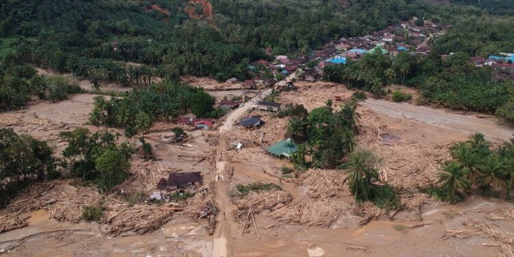 Ketika Isi Rimba Tak Ada Tempat Berpijak Lagi