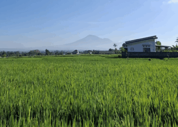 Tri Hita Karana dalam Realita Kacamata Pariwisata Bali