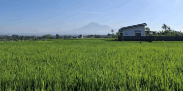 Tri Hita Karana dalam Realita Kacamata Pariwisata Bali