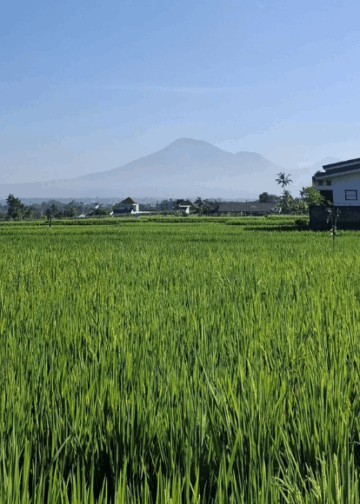 Tri Hita Karana dalam Realita Kacamata Pariwisata Bali