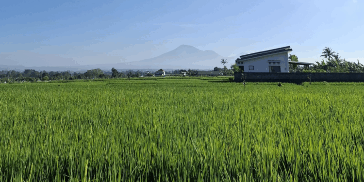 Tri Hita Karana dalam Realita Kacamata Pariwisata Bali