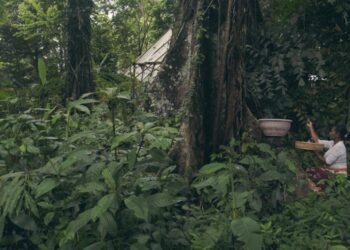 Pulau Surga yang Kehilangan Harmoni