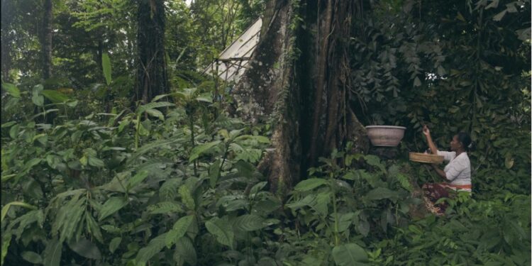 Pulau Surga yang Kehilangan Harmoni