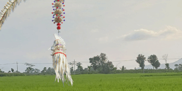 Galungan dan Keberlangsungan Pertanian Bali: Sebuah Ajakan untuk Kembali ke Akar