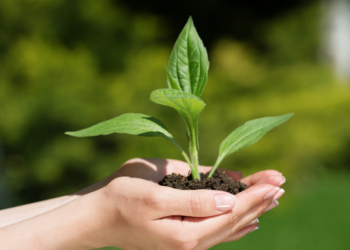 Nauru: Belajar dari Tragedi untuk Kembali ke Pertanian