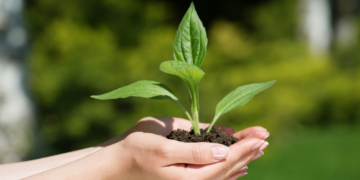 Nauru: Belajar dari Tragedi untuk Kembali ke Pertanian