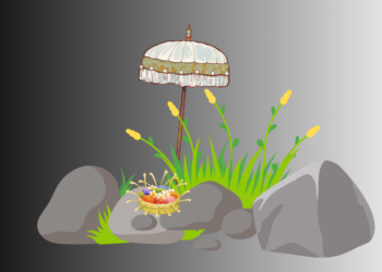 Bali Sepi, Bali “Bertapa”