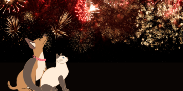 Tahun Baru dan Malam Panjang Ketakutan Anabul