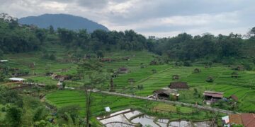 Berkunjung ke Desa Ketapanrame dan Berbincang Bagaimana Desa Wisata Dikelola