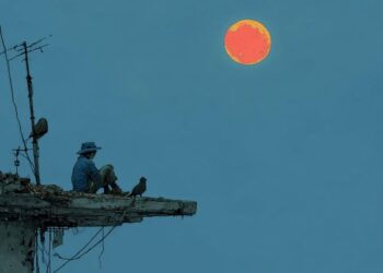 Kesunyian Urban dalam Dunia dlavigne.paris